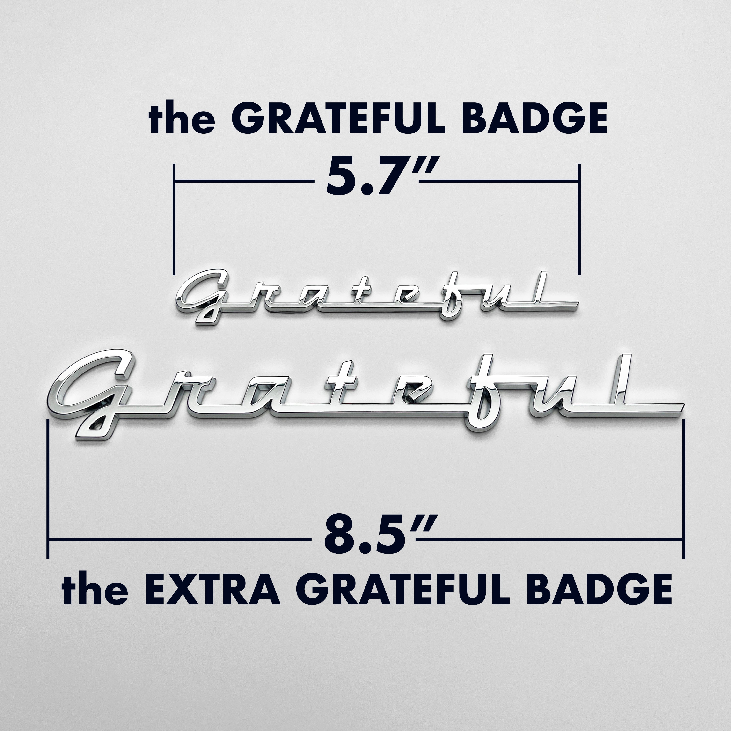 the GRATEFUL BADGE - Grateful Fred - Badge