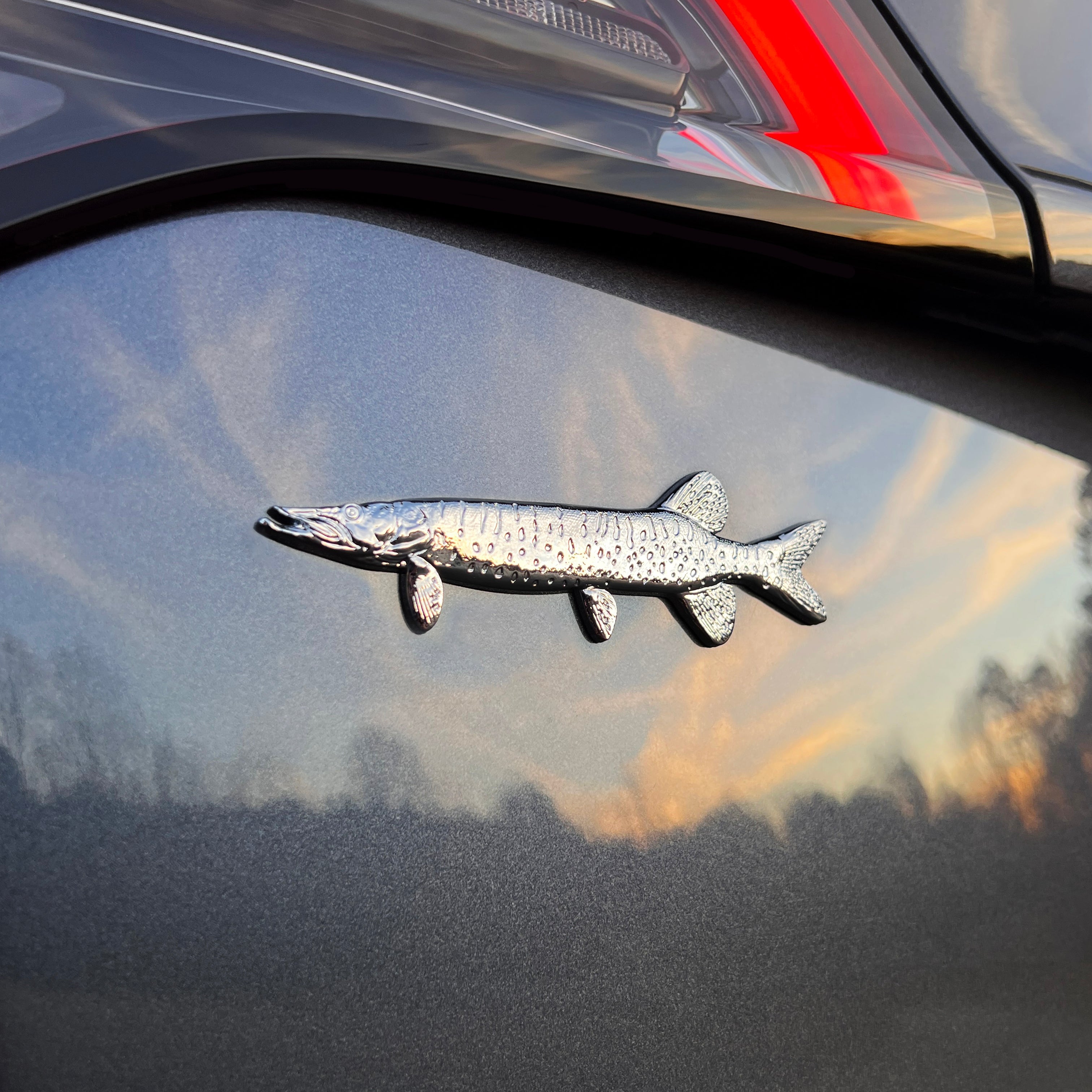 the MUSKIE BADGE - Grateful Fred - Badge