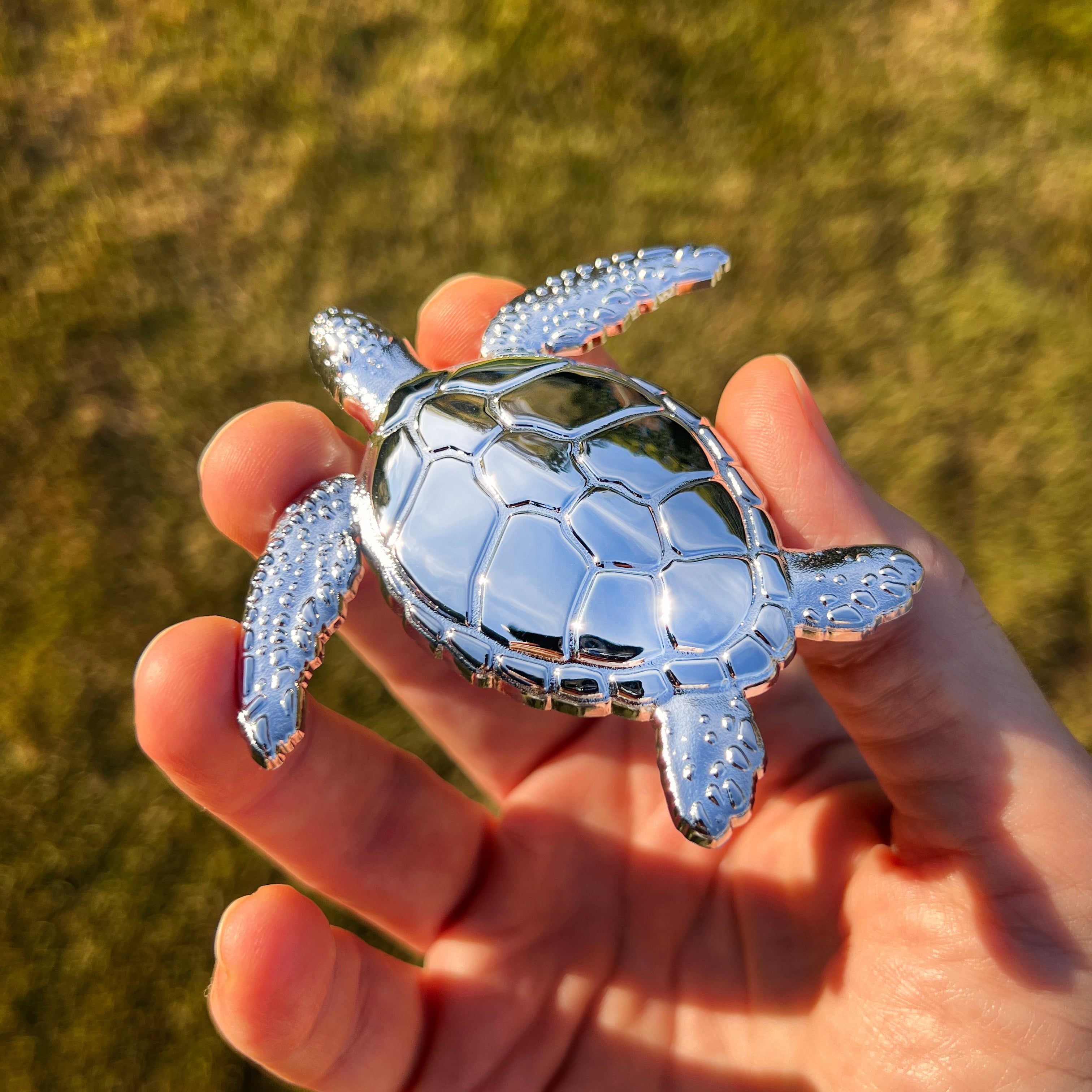 the SEA TURTLE BADGE - Grateful Fred - Badge