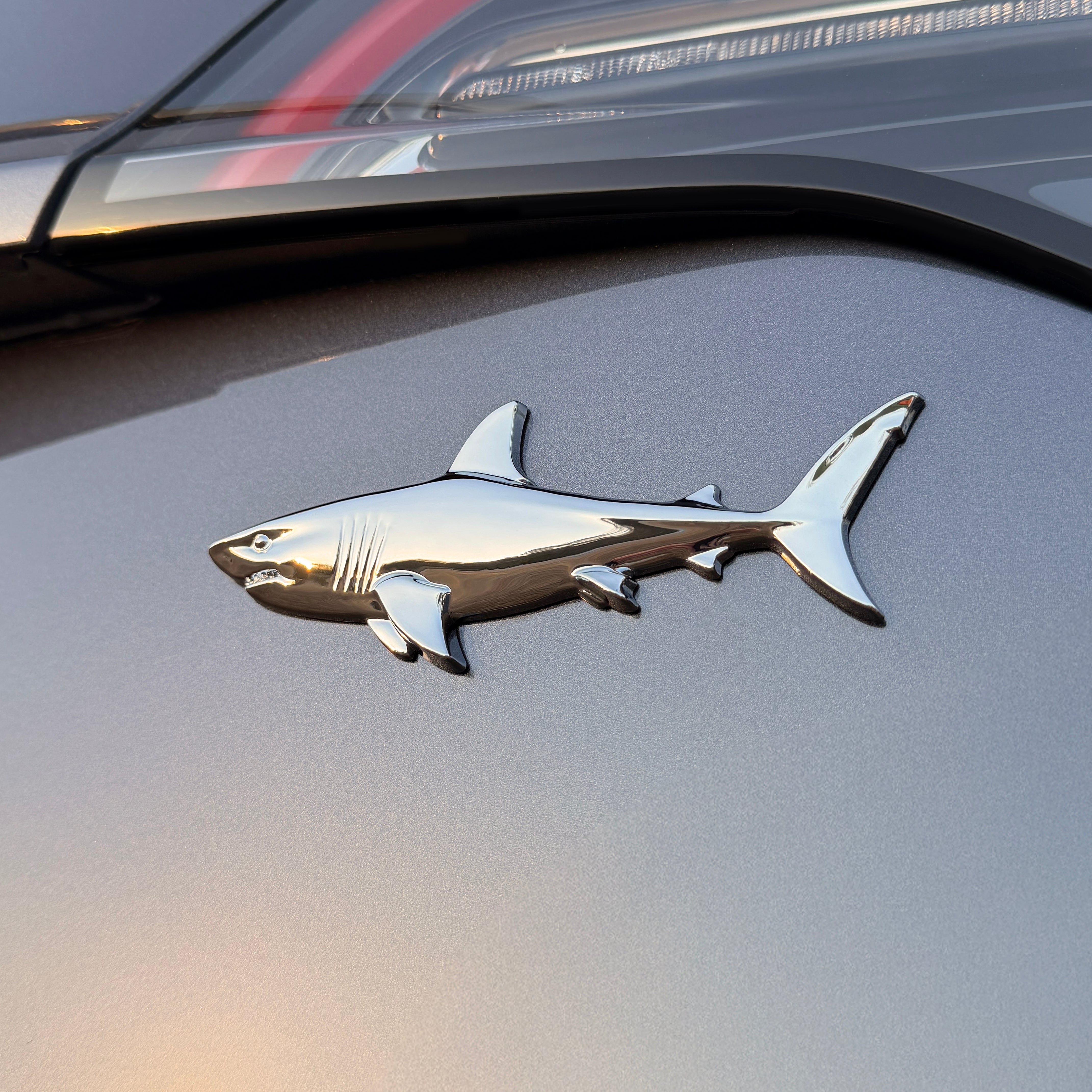 the SHARK BADGE - Grateful Fred -
