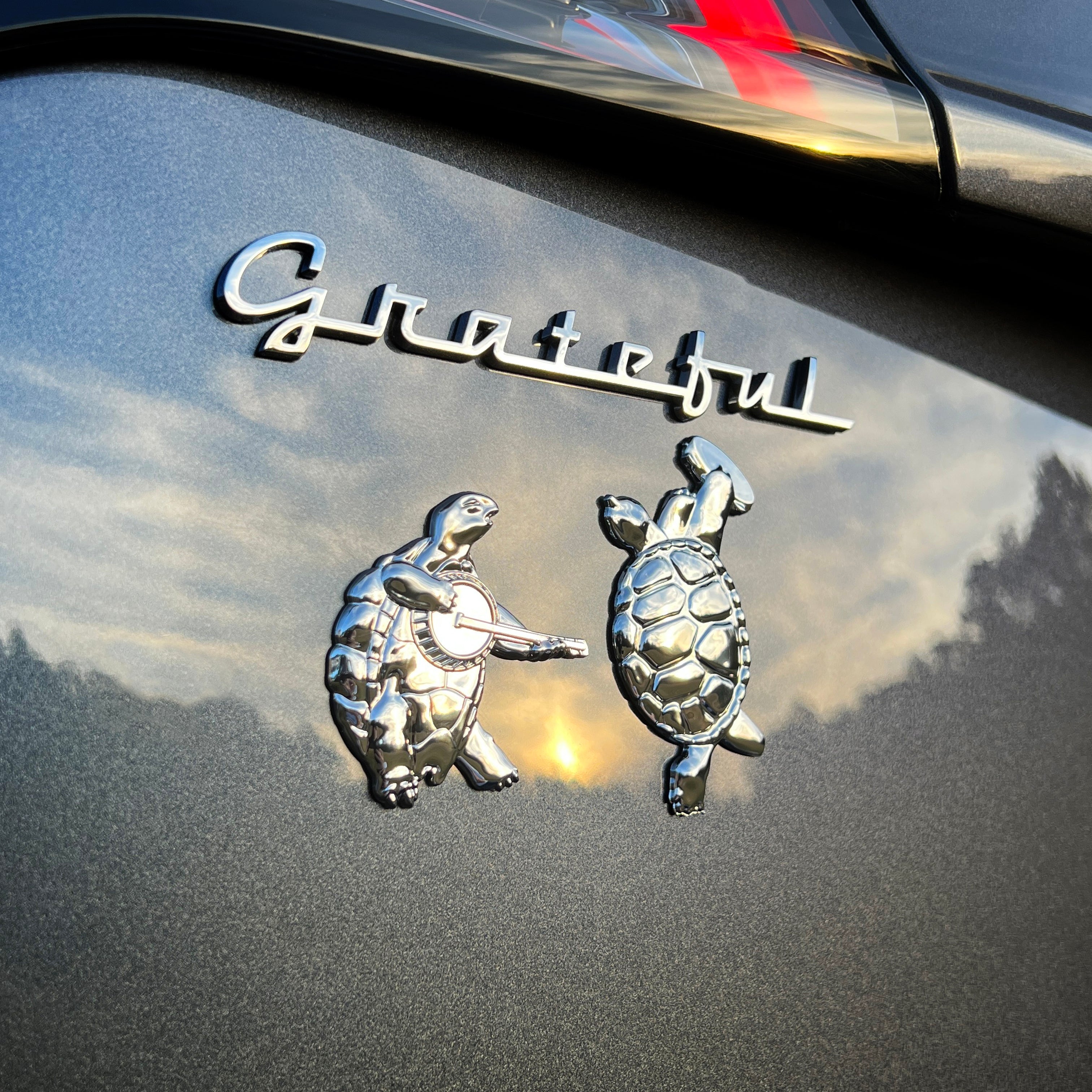 the DANCING TERRAPINS BADGE - Grateful Fred - Badge