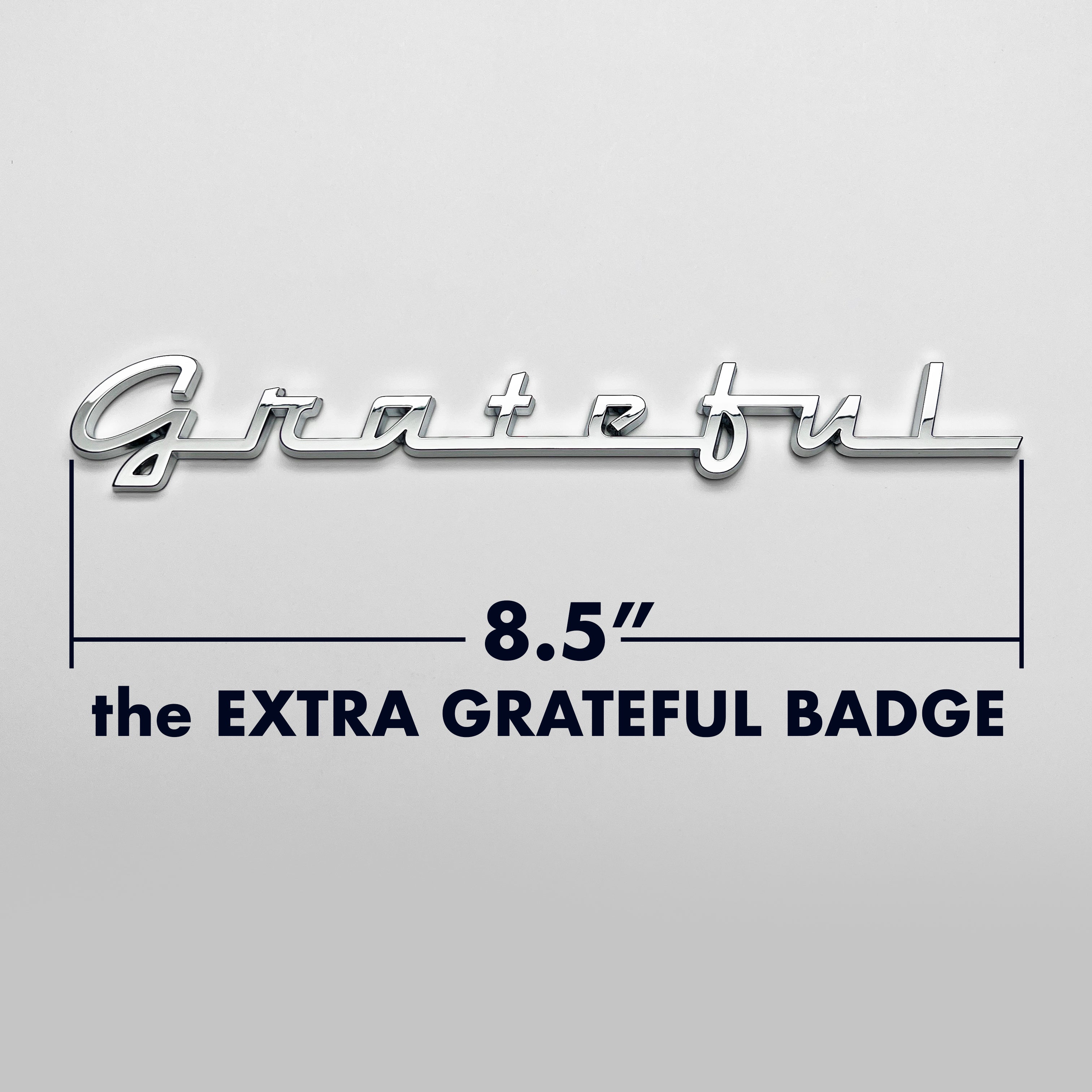 the GRATEFUL BADGE - Grateful Fred - Badge