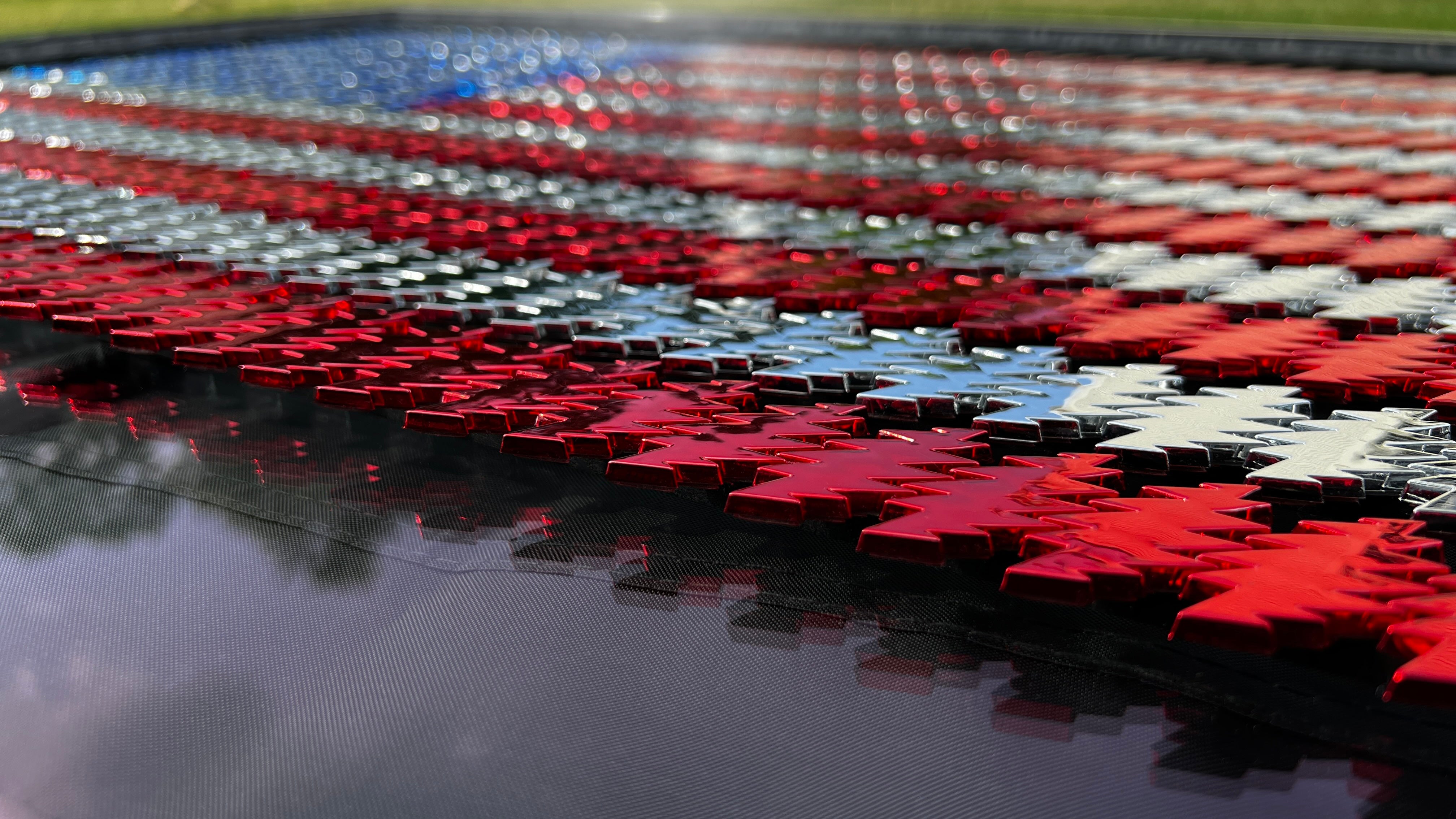 the AMERICAN BEAUTY FLAG (charity auction to support Pets for Vets®) - Grateful Fred -