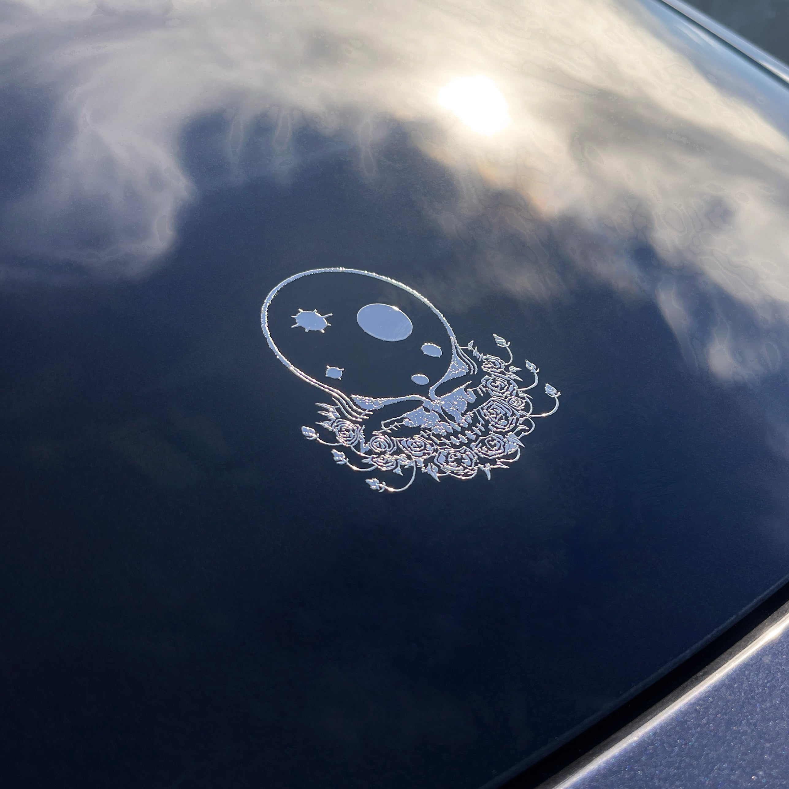 the METAL SPACE YOUR FACE - Grateful Fred - Decorative Stickers