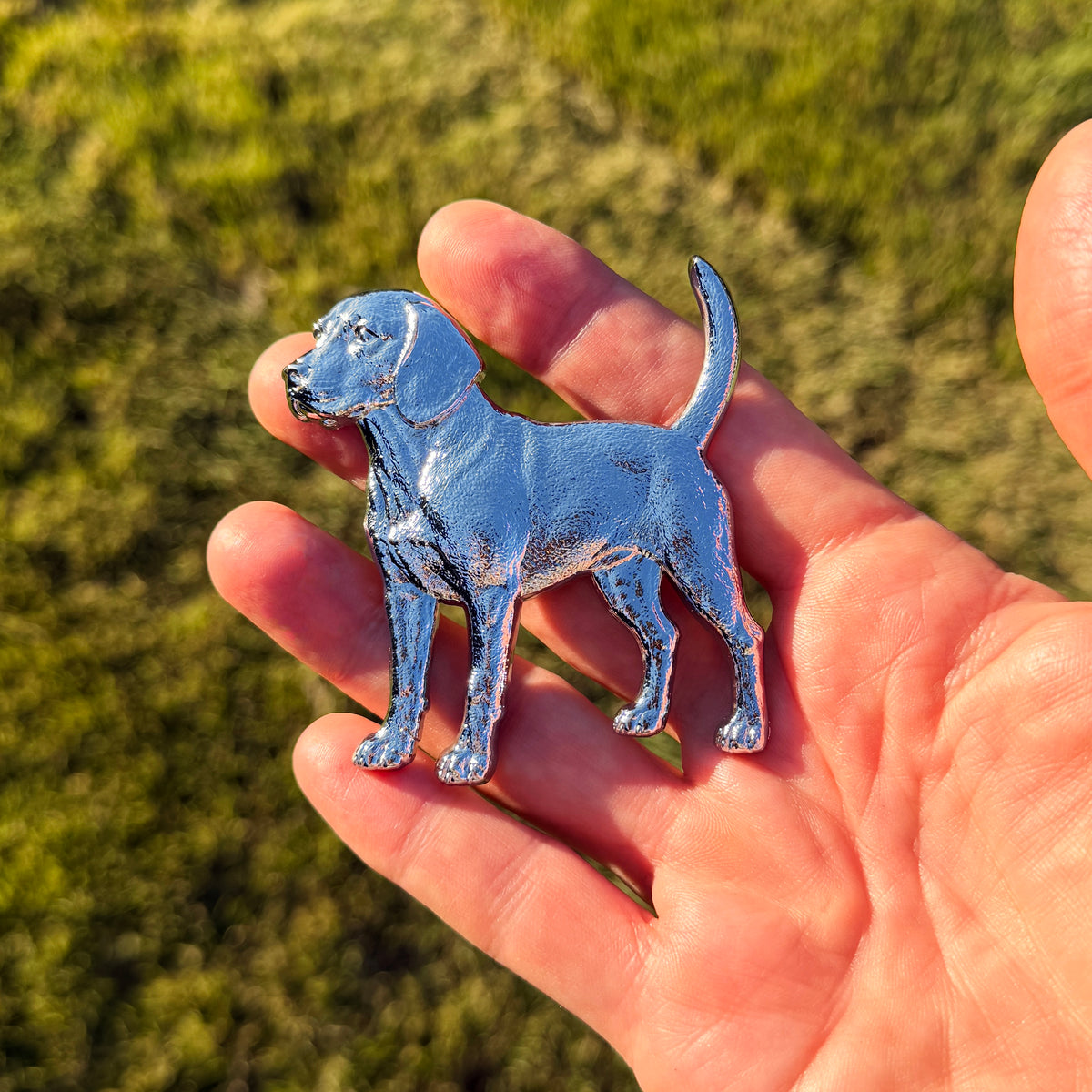 the BEAGLE BADGE - Grateful Fred   - 