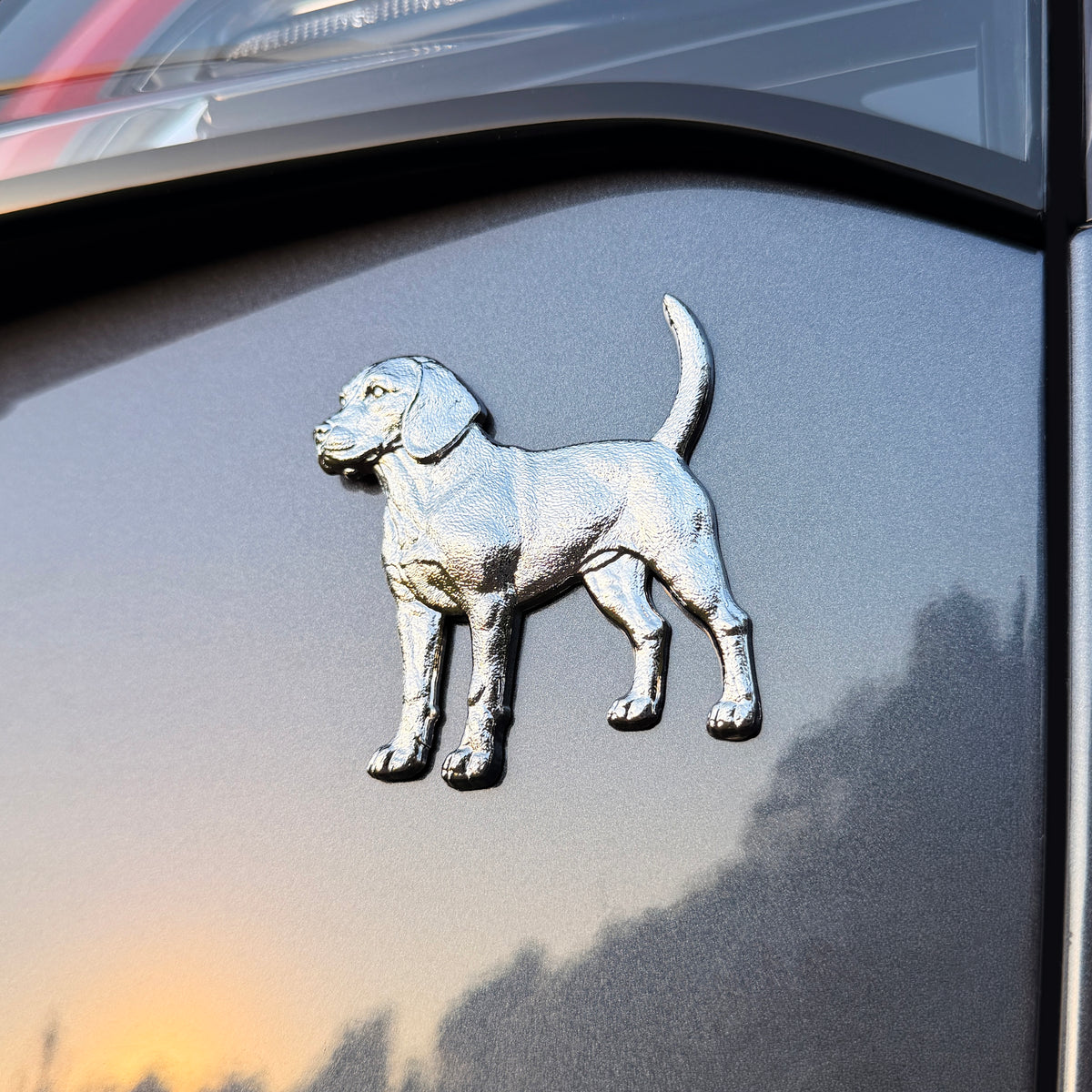 the BEAGLE BADGE - Grateful Fred   - 