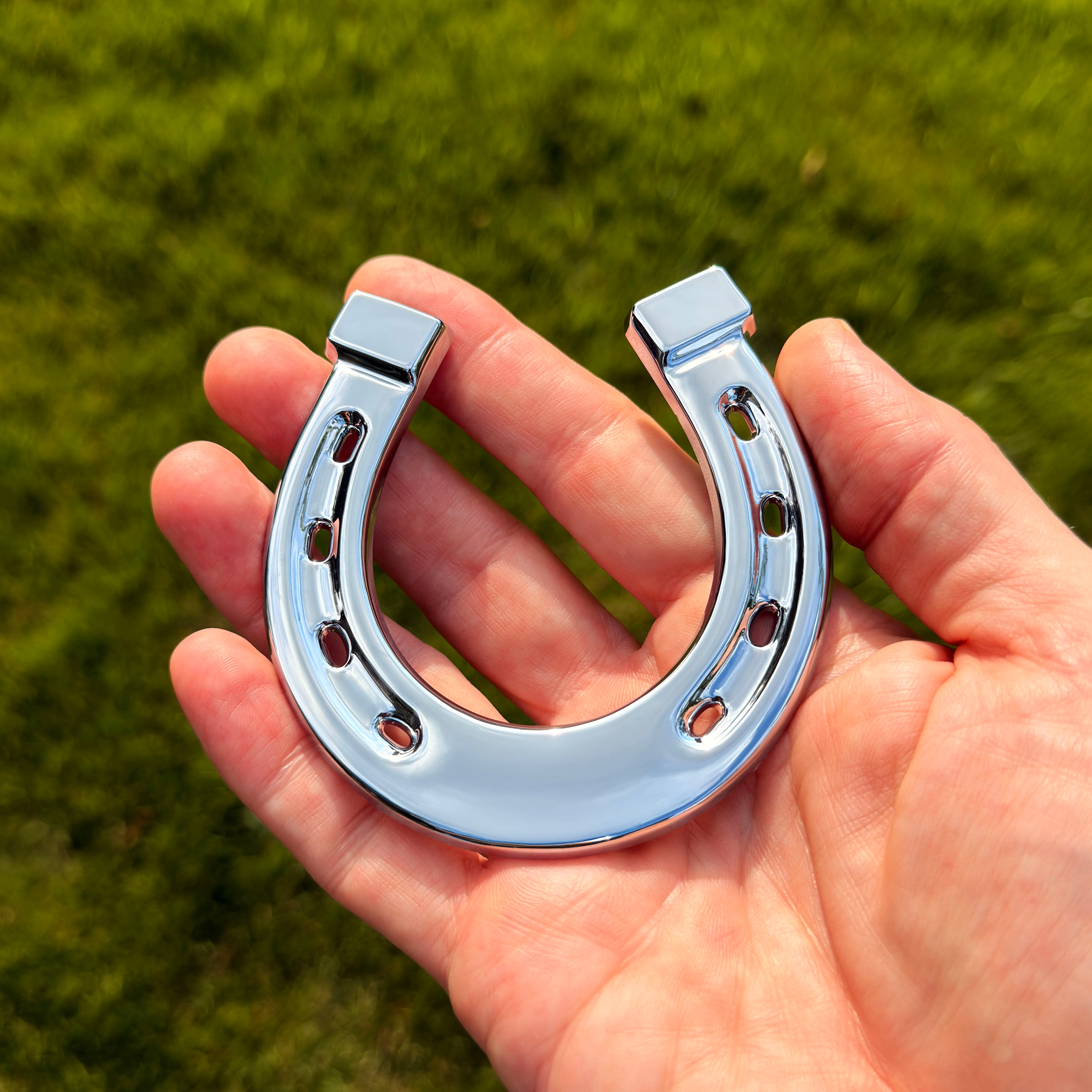 the HORSESHOE BADGE - Grateful Fred   - Badge