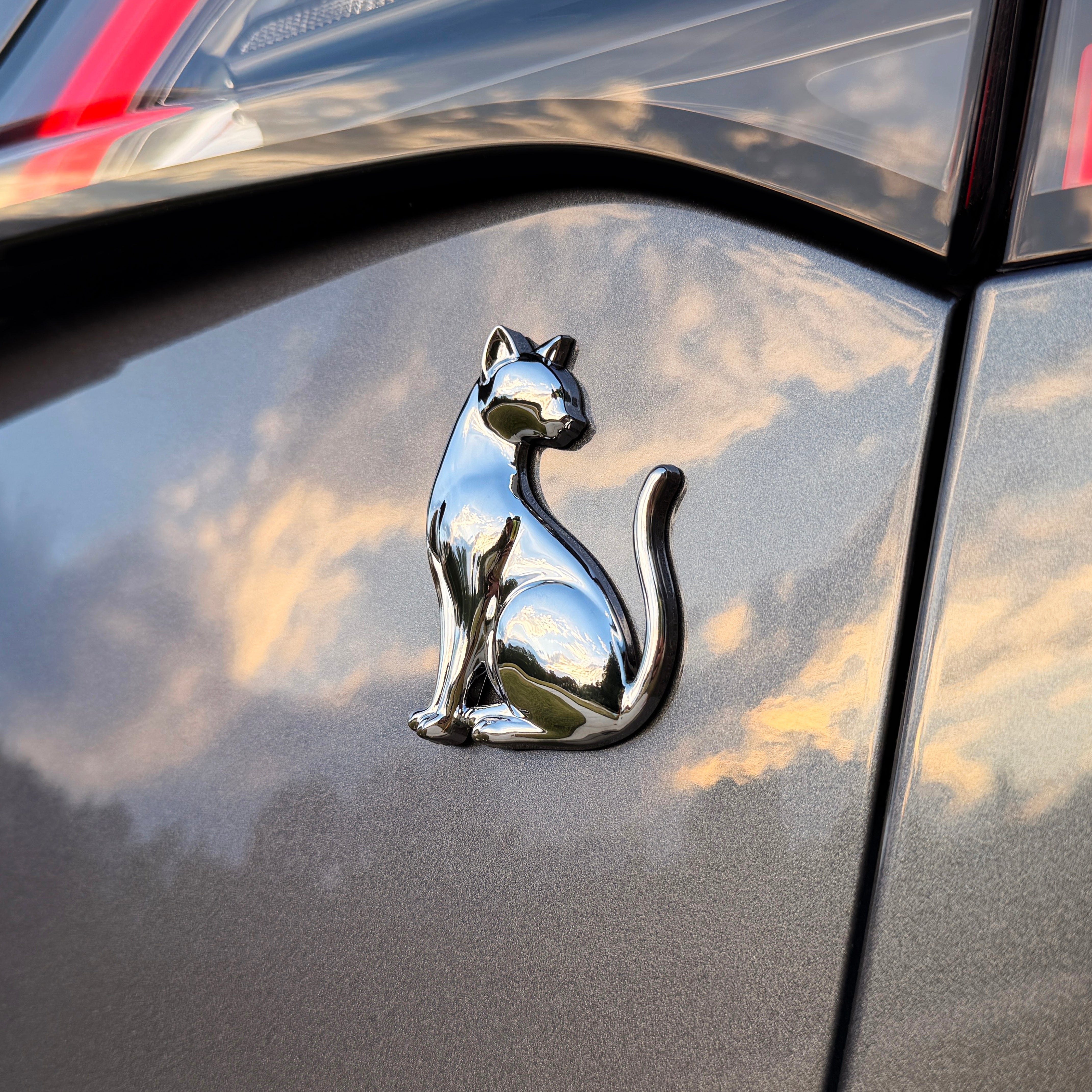 the CAT BADGE - Grateful Fred   - 