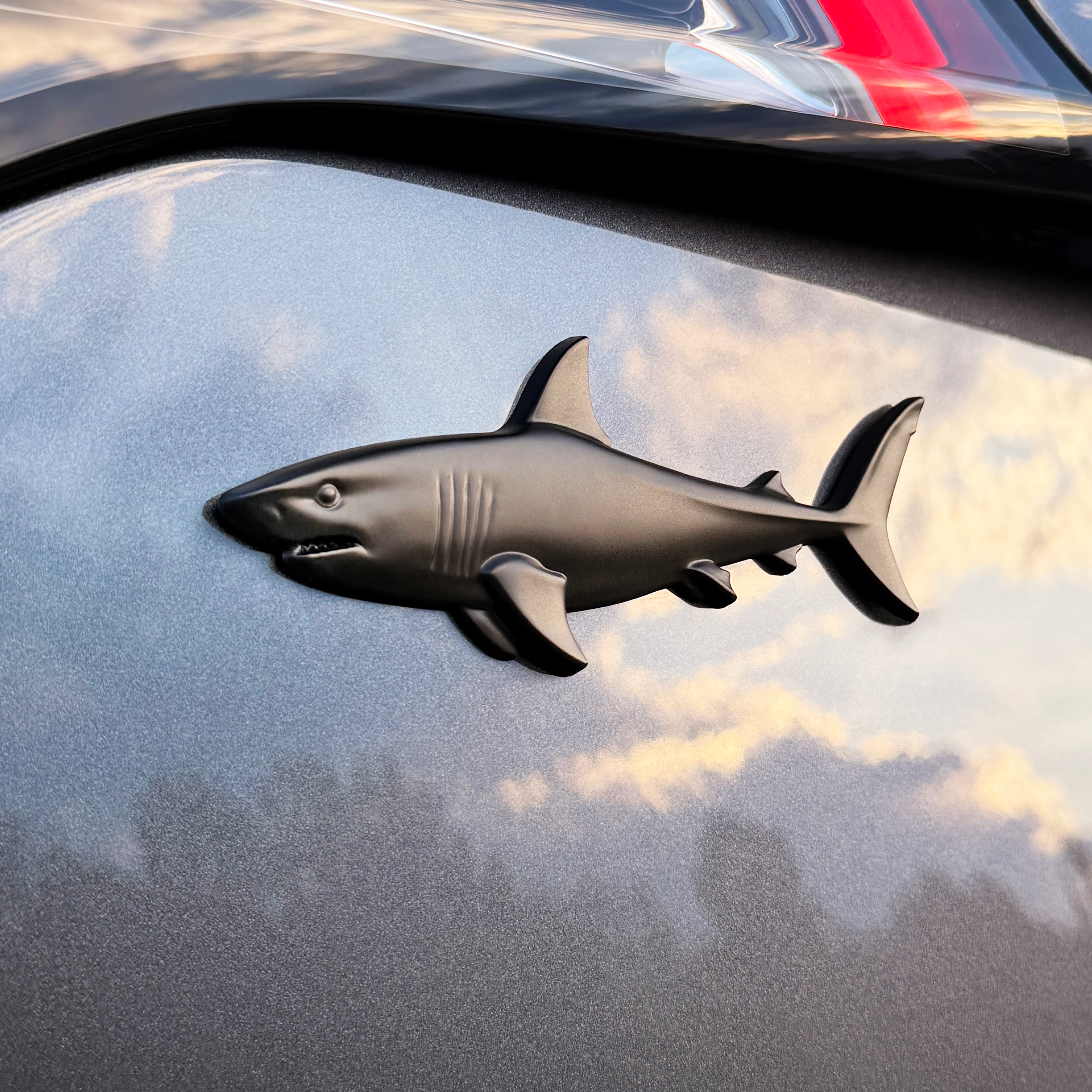 the SHARK BADGE - Grateful Fred   - Badge