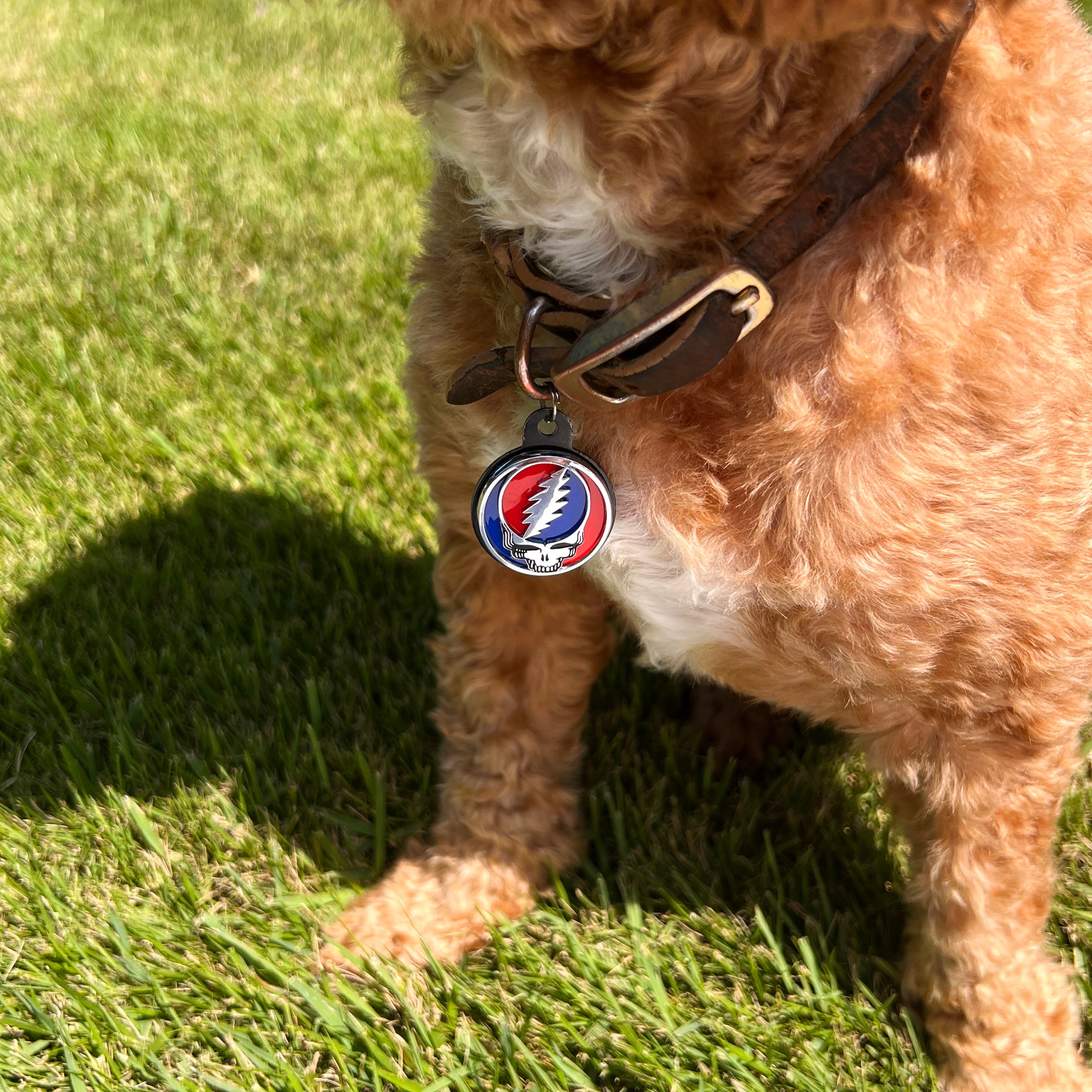 the STEALIE 2.0 PET TAG - Grateful Fred   - 