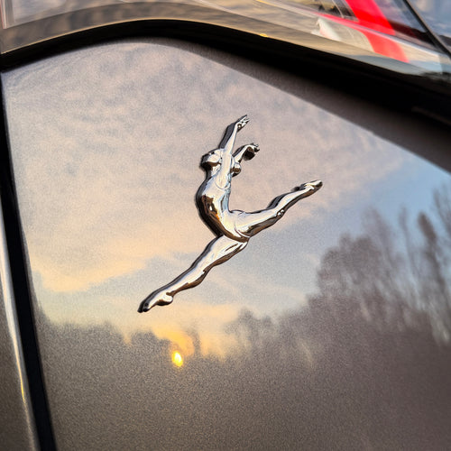 the GYMNASTICS/DANCE BADGE - Grateful Fred   - 