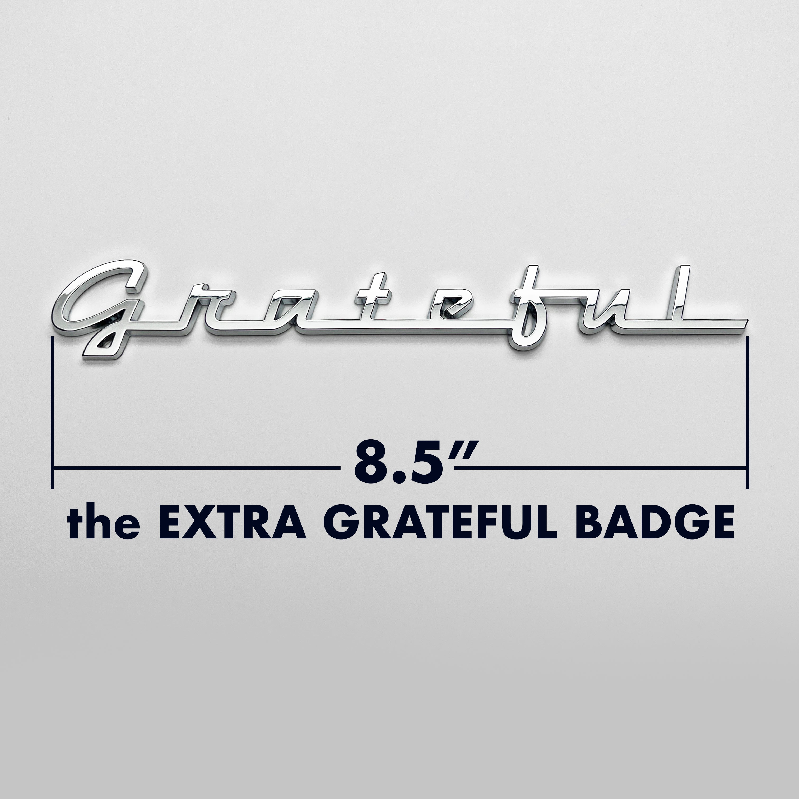 the GRATEFUL BADGE - Grateful Fred   - Badge