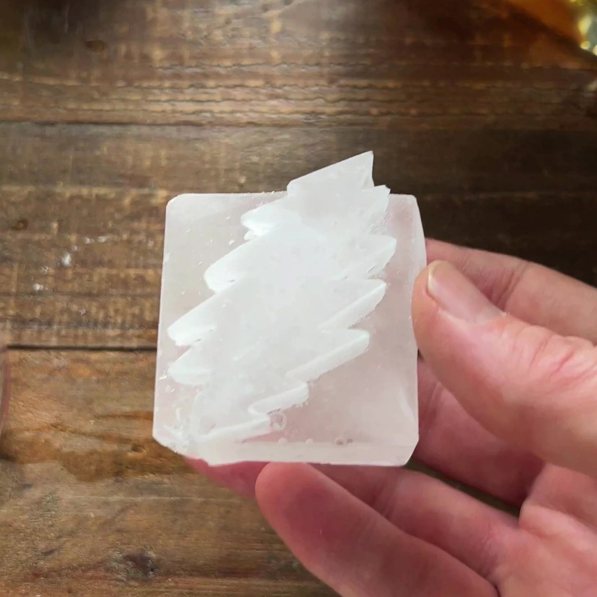 Christmas Ice Mold - Frugally Blonde