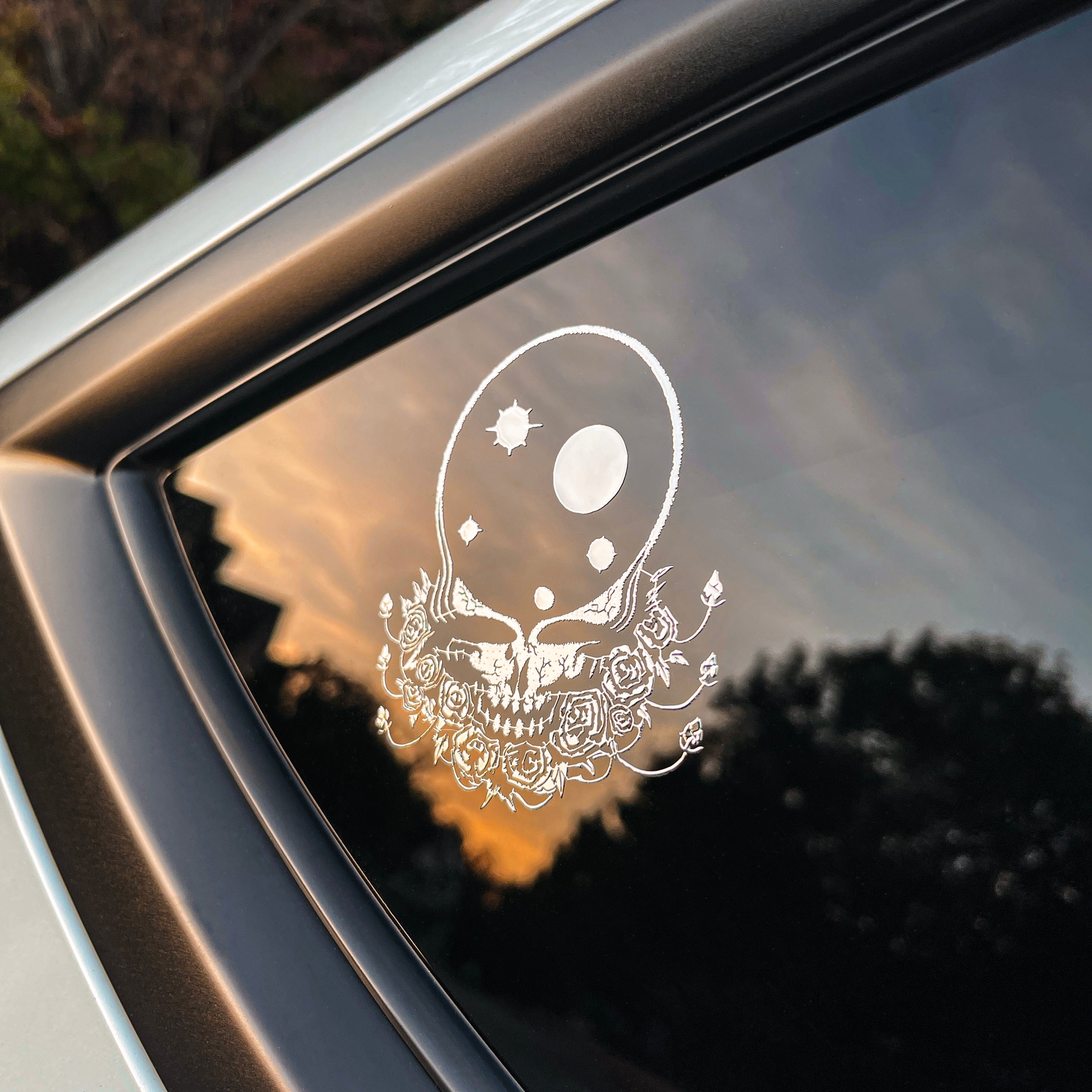 the METAL SPACE YOUR FACE - Grateful Fred   - Decorative Stickers